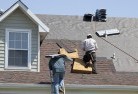 Davidsonskylights-2.jpg; ?>